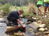 Survival Training